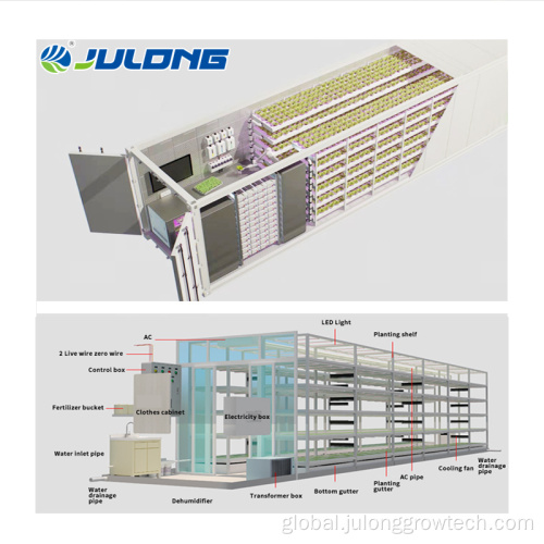 Fodder Container Plant Factory hydroponic system Shipping container farm Manufactory